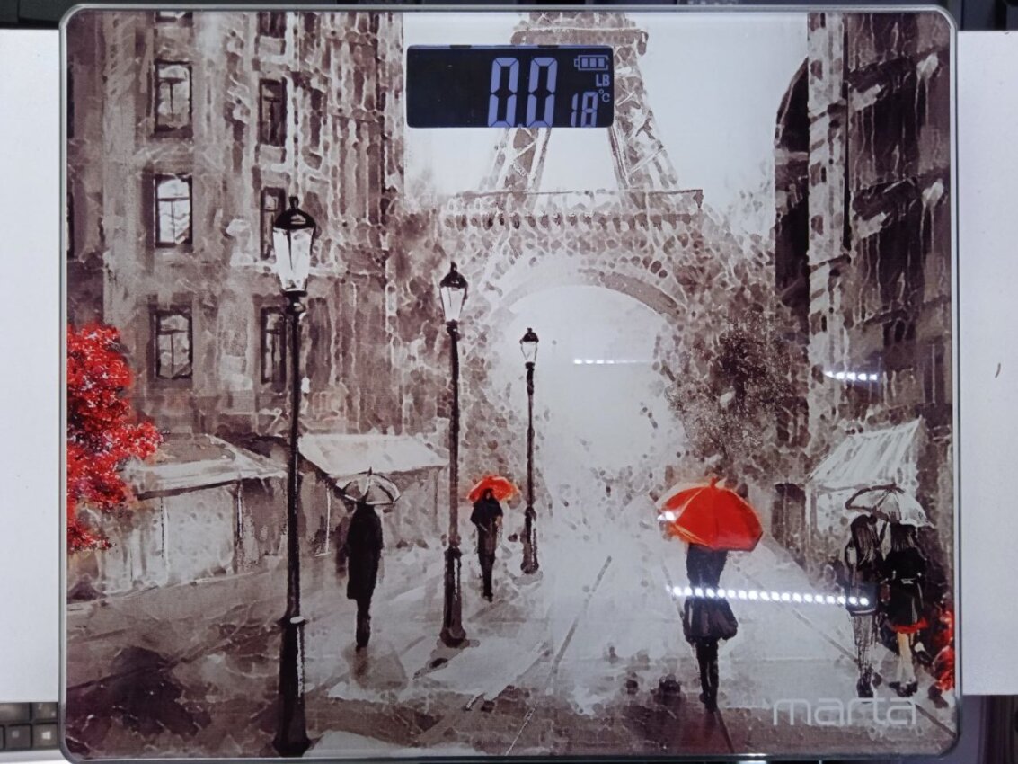 Весы напольные, 180 кг, с термометром