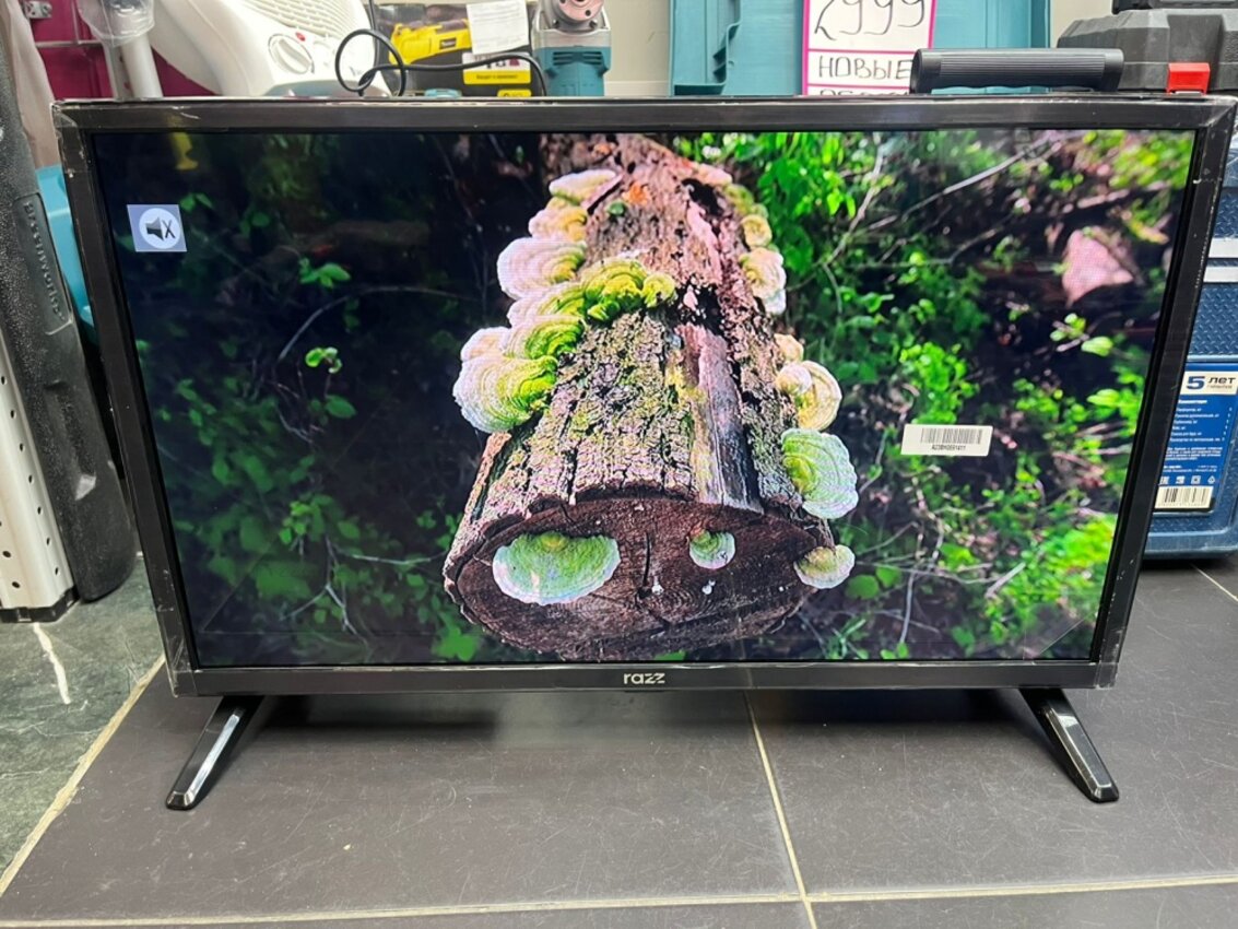 телевизор RAZZ W24H25